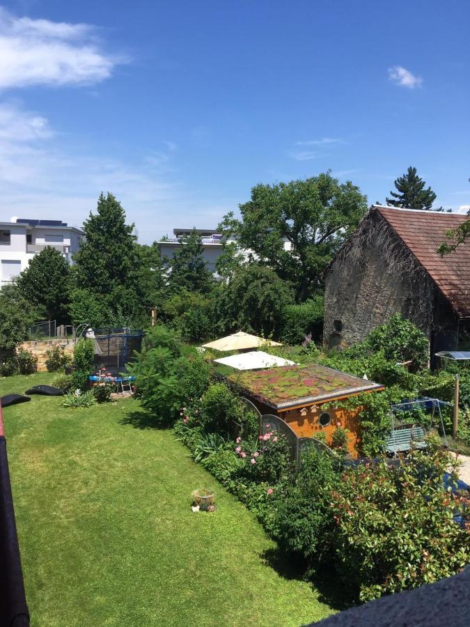 Citynah: Apartment mit Altbauflair in ruhiger Lage Freiburg im Breisgau Exterior foto